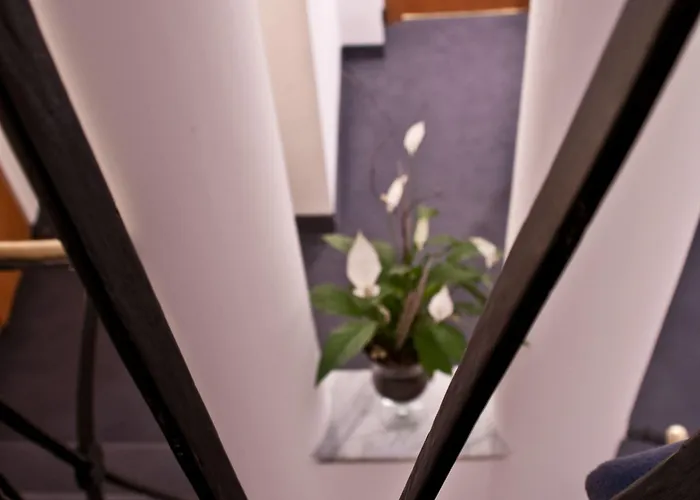 Concordia 3* רומא