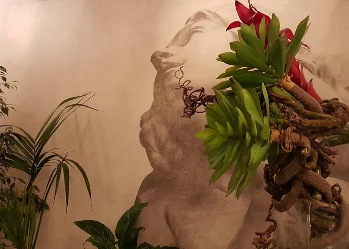 Concordia 3* רומא